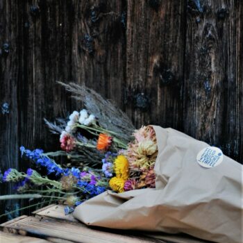 TROCKENBLUMEN Kreativ-Set in S/M/L